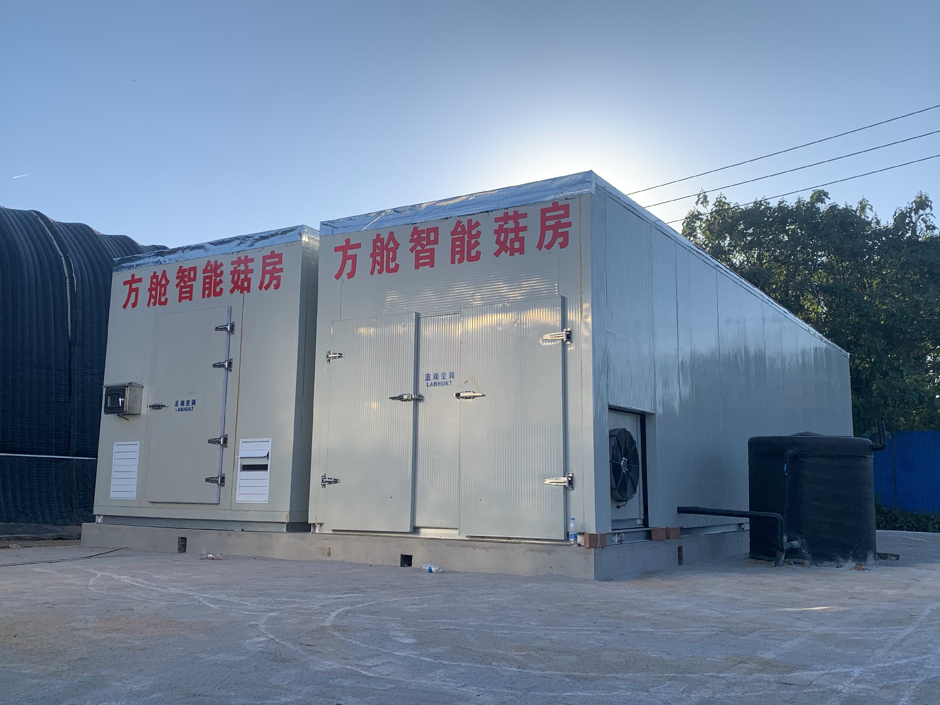 Solar-Powered Container Farming for Commercial Use