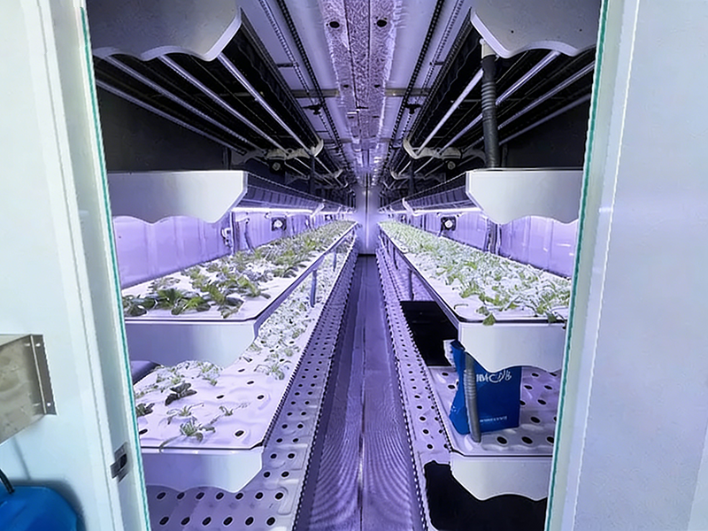 container farming