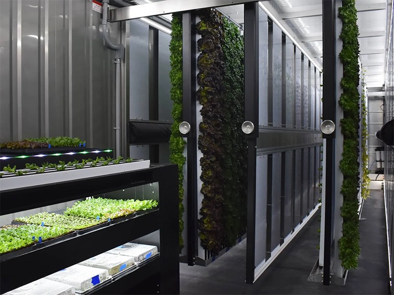 Shipping Container Vertical Farming Systems