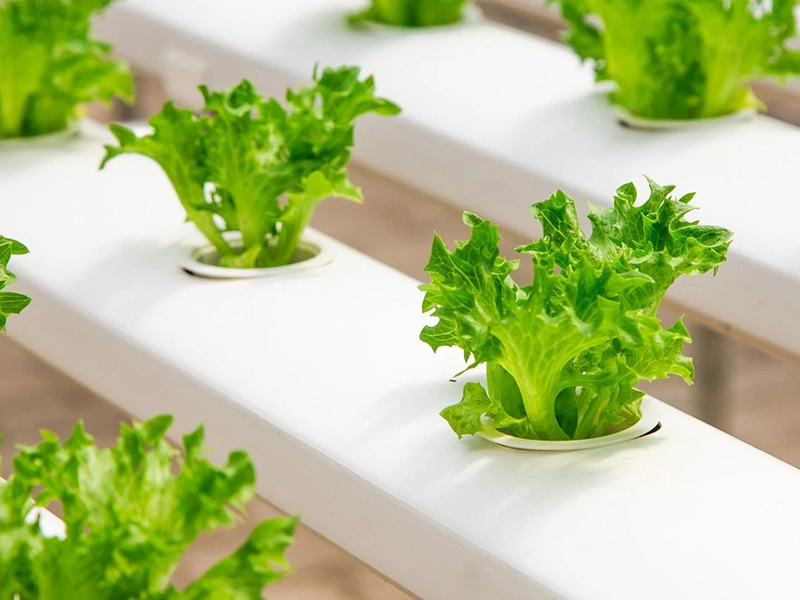 Mobile greenhouses